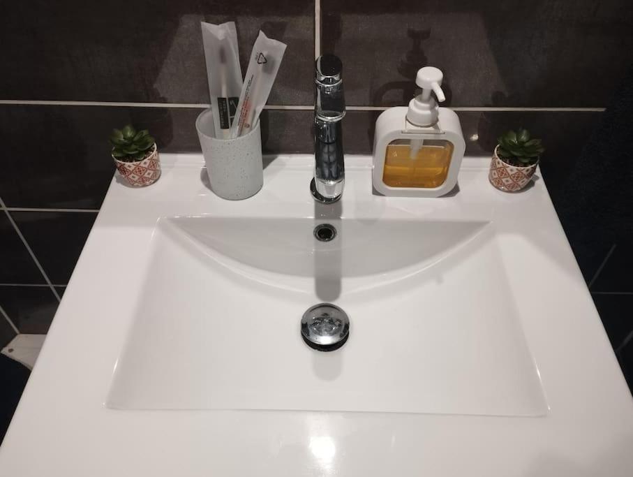 Appartement Coeur De Ville! Foix Exteriér fotografie