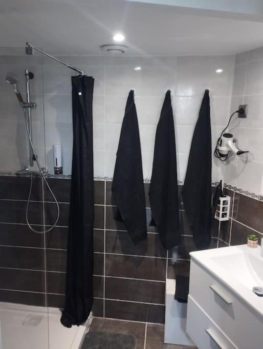 Appartement Coeur De Ville! Foix Exteriér fotografie