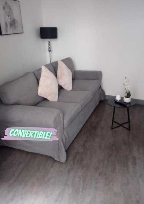 Appartement Coeur De Ville! Foix Exteriér fotografie
